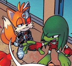 Beast Boy shape-shifted as a green Knuckles. Tails, in his version of Cyborg's outfit, looks on in annoyance.