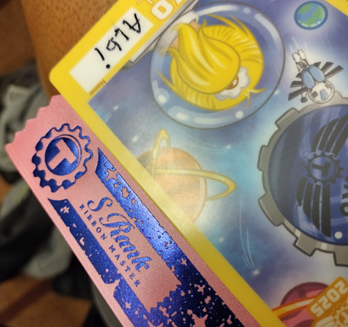 A closeup of my badge-- and S Rank ribbon.