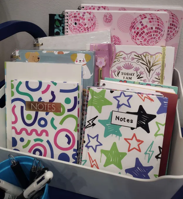 Various and colorful notebooks sitting upright in a bin. There is a cup of ink pens to grab, too.
