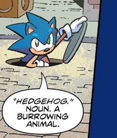 Sonic popping out of a manhole, saying Hedgehog. Noun. A burrowing animal.