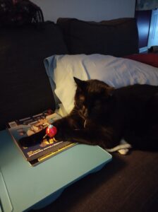 House Panther, a black cat, lounging on the couch with a few issues of Heavy Metal and a Bomb-omb toy.